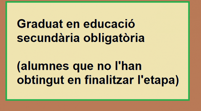 Graduat en educació secundària obligatòria (alumnes que no l'han obtingut en finalitzar l'etapa)